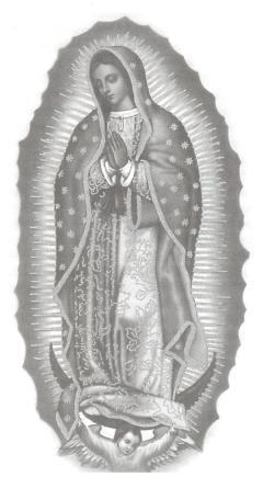 Our Lady of Guadalupe